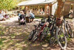 E-Bike Half-Day Trip to Harrys Rock or Corfé Castle Thumb