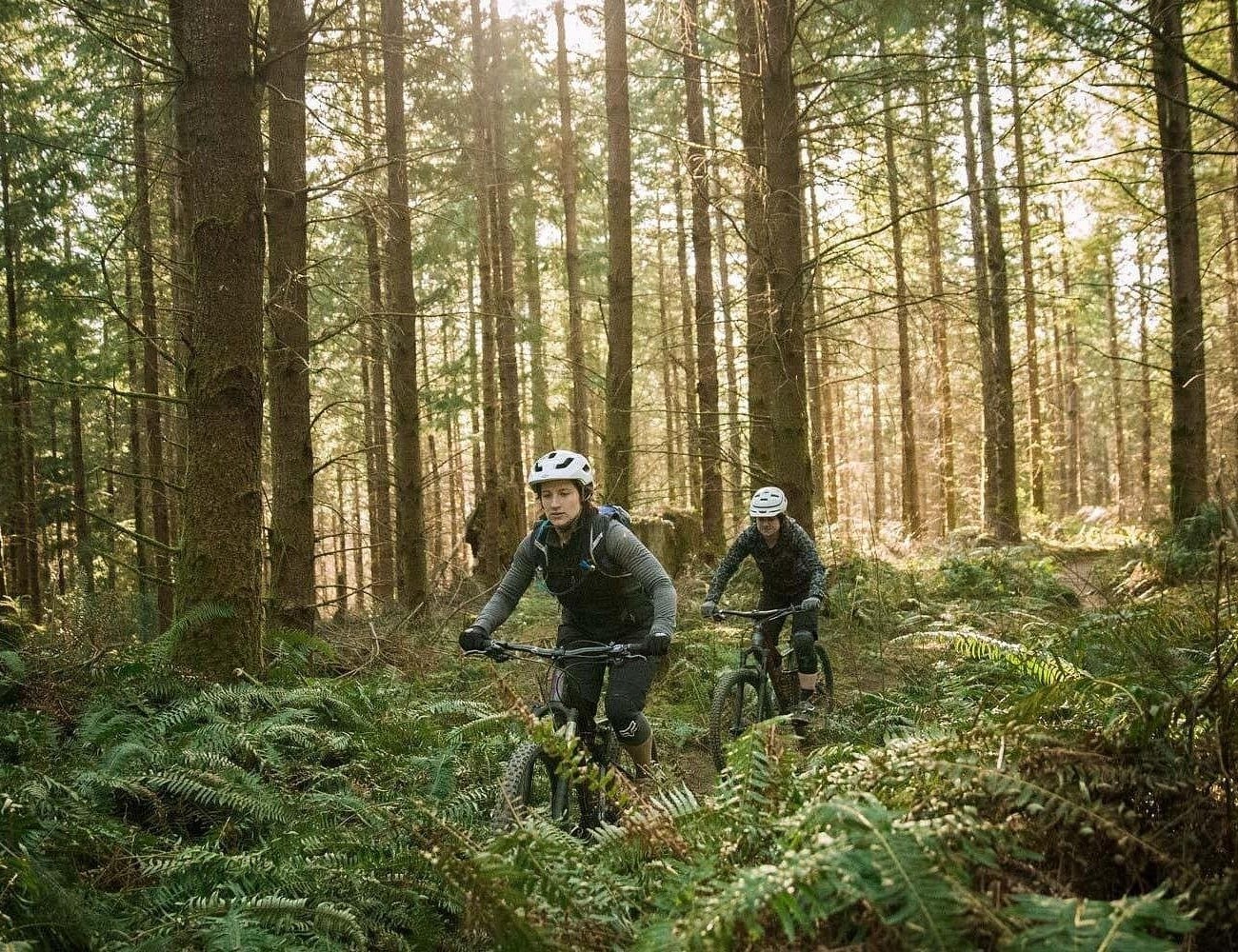 E-Bike Half-Day Trip to Harrys Rock or Corfé Castle