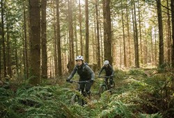 E-Bike Half-Day Trip to Harrys Rock or Corfé Castle Thumb