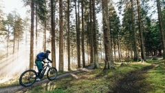 E-Bike Half-Day Trip to Harrys Rock or Corfé Castle Thumb