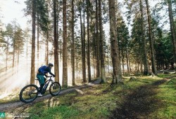 E-Bike Half-Day Trip to Harrys Rock or Corfé Castle Thumb