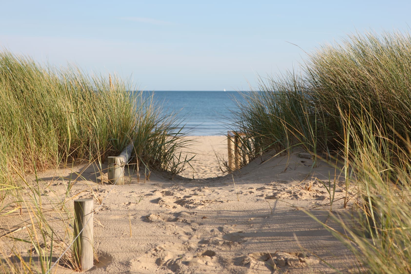 Footpath through sand dunes Sandbanks Beach – Poole Dorset