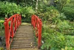 Full Day Guided Small Group Tour of Central Dorset Thumb