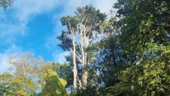 Full Day Guided Small Group Tour of Central Dorset Thumb