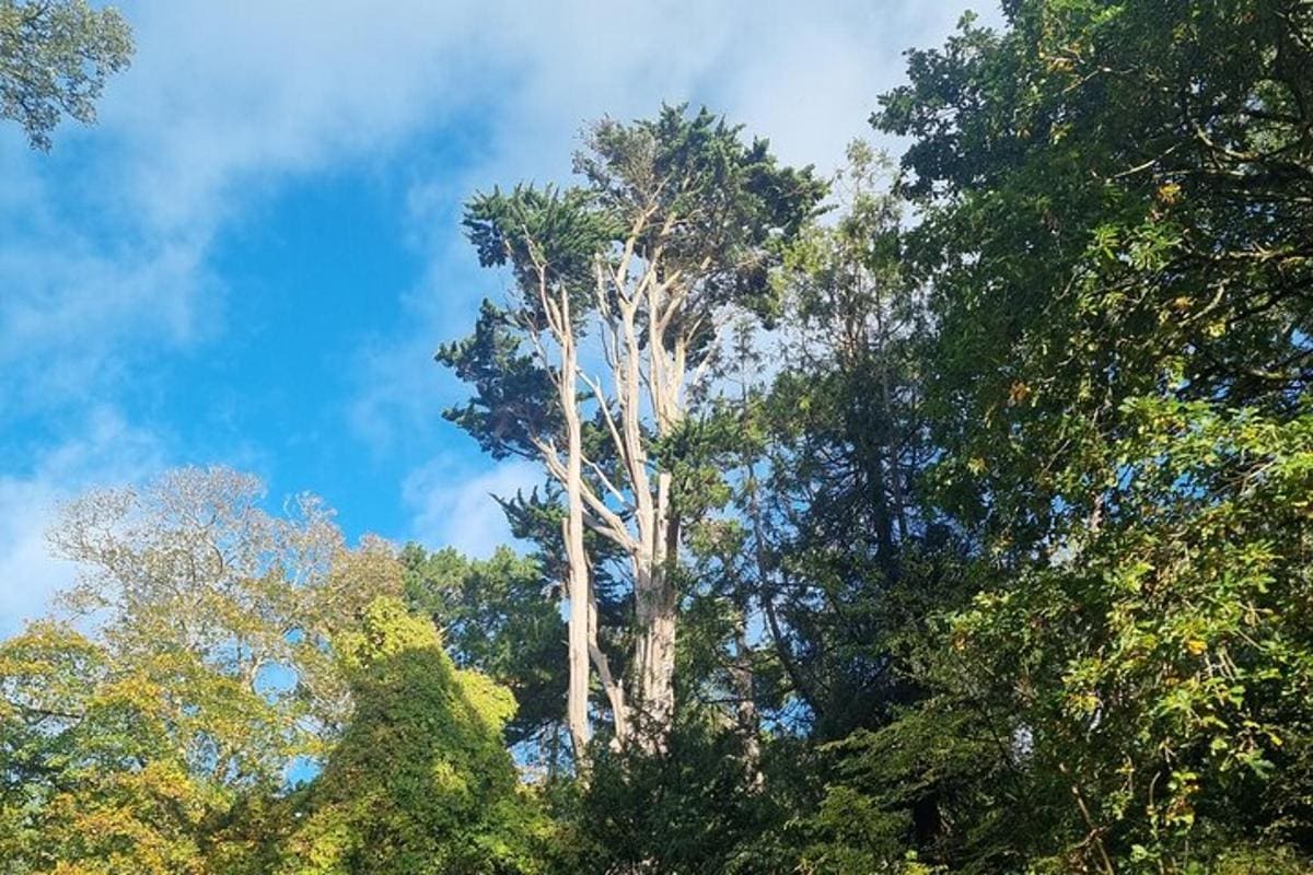 Full Day Guided Small Group Tour of Central Dorset