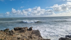 Full Day Guided Small Group Tour of Central Dorset Thumb