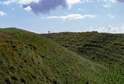 Full Day Guided Small Group Tour of Central Dorset Thumb