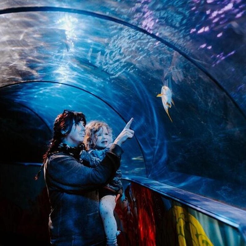 SEA LIFE Adventure Park