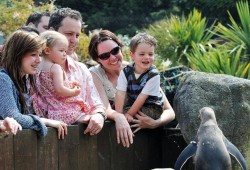 SEA LIFE Adventure Park Thumb