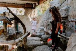 SEA LIFE Adventure Park Thumb