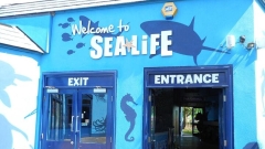 SEA LIFE Adventure Park Thumb