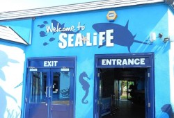 SEA LIFE Adventure Park Thumb