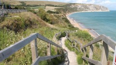 The Pines Hotel Thumb