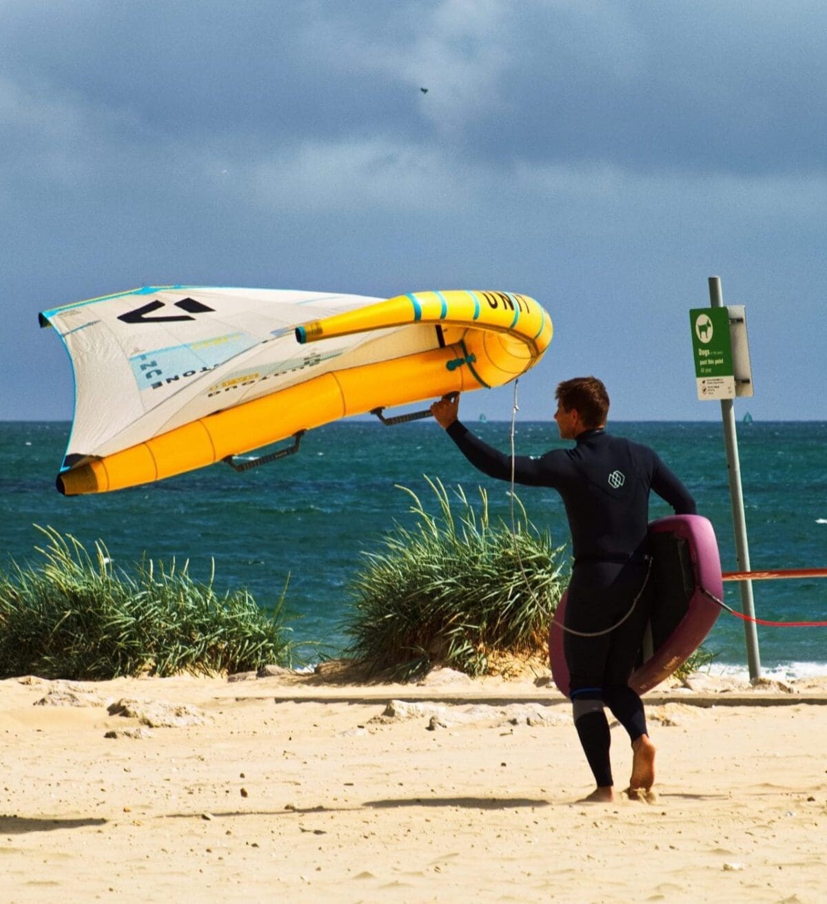 Wingsurfer at Sandbanks Beach