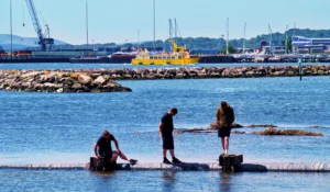 Poole Quay & Old Town Thumb