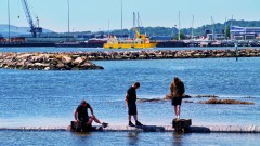 Poole Quay & Old Town Thumb