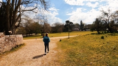 Brownsea Island Thumb