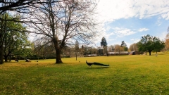 Brownsea Island Thumb