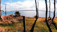 Brownsea Island Thumb