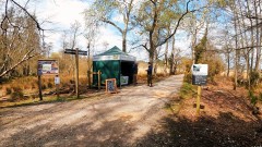 Brownsea Island Thumb