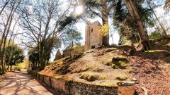 Brownsea Island Thumb