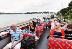 City Sightseeing Hop-On Hop-Off Bus Tour Thumb