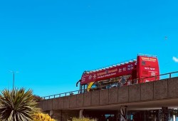 City Sightseeing Hop-On Hop-Off Bus Tour Thumb