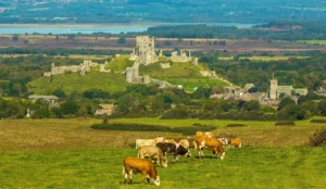 Corfe Castle Thumb