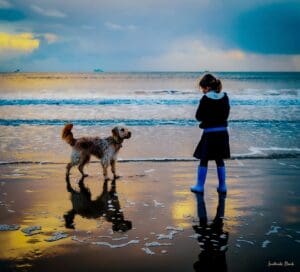 Doggy Friendly Stays at Sandbanks