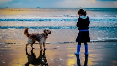 Discover Sandbanks Thumb