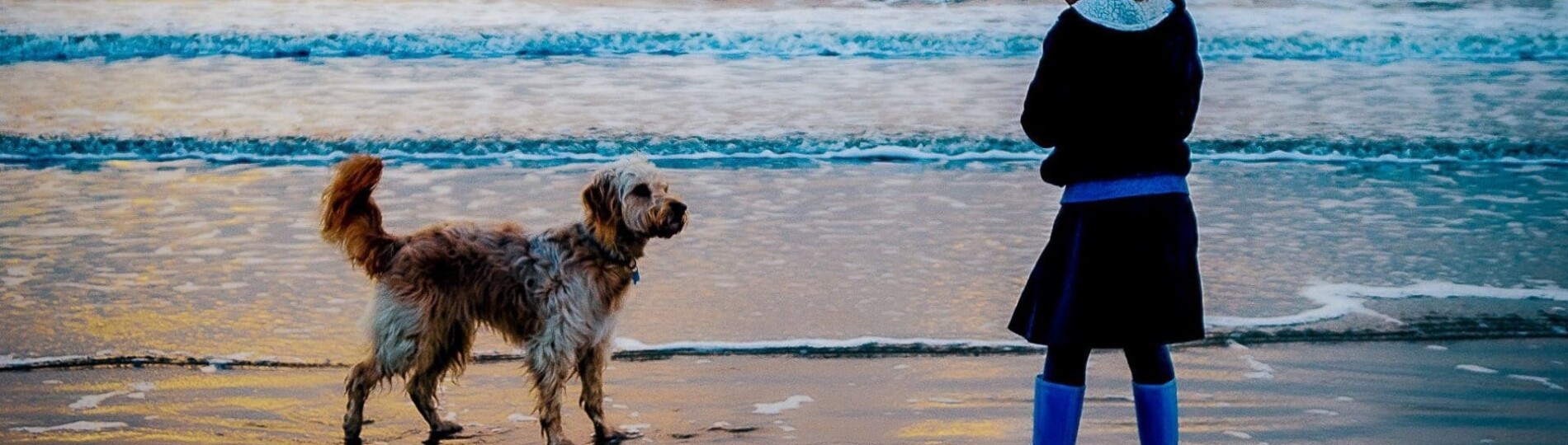 Dog Friendly Places to Stay