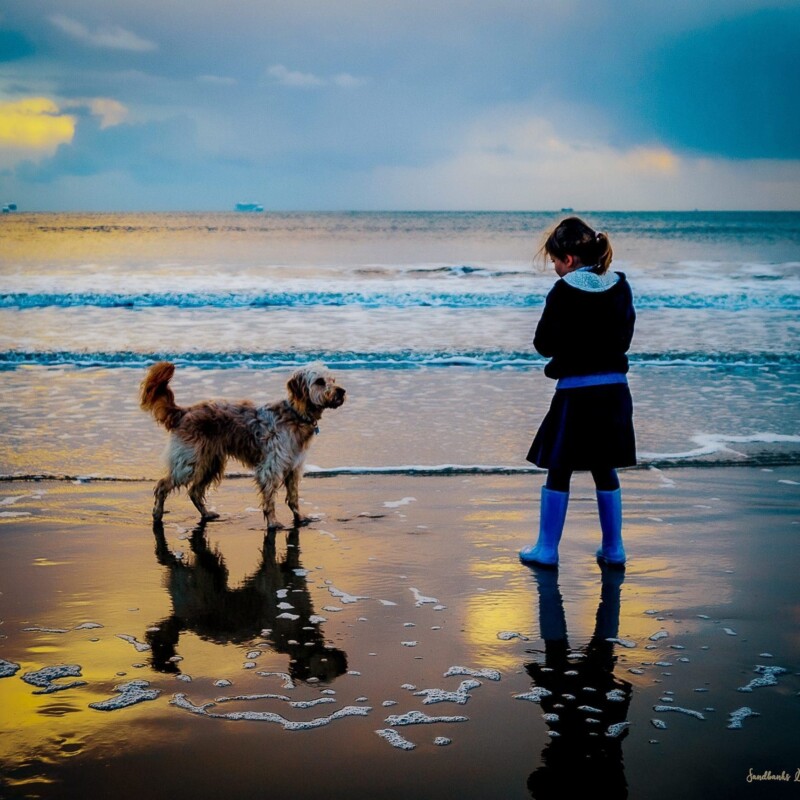 Dog Friendly Places to Stay