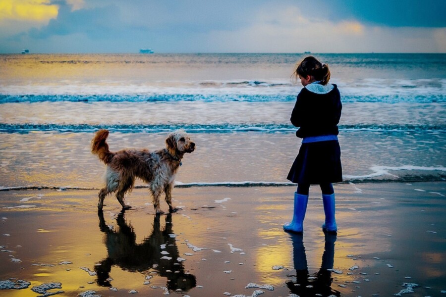 Dog Friendly Places to Stay