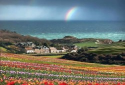Durdle Door & Lulworth Cove Private Day Trip Thumb