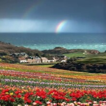 Durdle Door & Lulworth Cove Private Day Trip 2