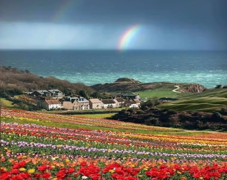 Durdle Door & Lulworth Cove Private Day Trip