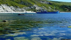 Durdle Door & Lulworth Cove Private Day Trip Thumb