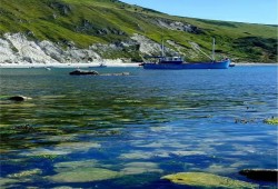 Durdle Door & Lulworth Cove Private Day Trip Thumb