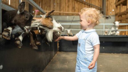 Farmer Palmer’s Farm Park