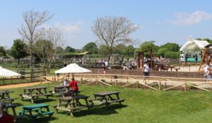 Farmer Palmer’s Farm Park Thumb