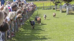 Farmer Palmer’s Farm Park Thumb