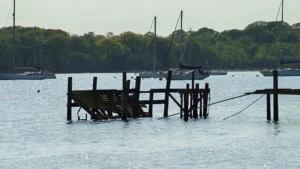 Hamworthy Park Thumb