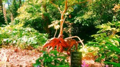Compton Acres Thumb