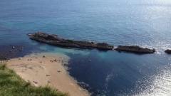 Jurassic Coast & Isle of Purbeck Day Tour Thumb