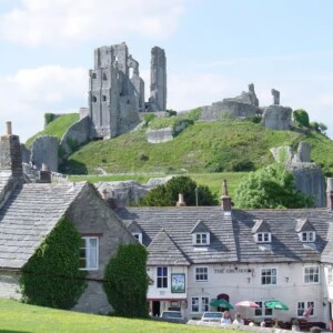 Jurassic Coast & Isle of Purbeck Day Tour 6