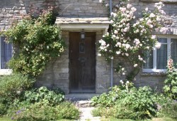 Jurassic Coast & Isle of Purbeck Day Tour Thumb