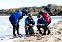 Jurassic Coast Kayaking Tour to Old Harry Rocks Thumb