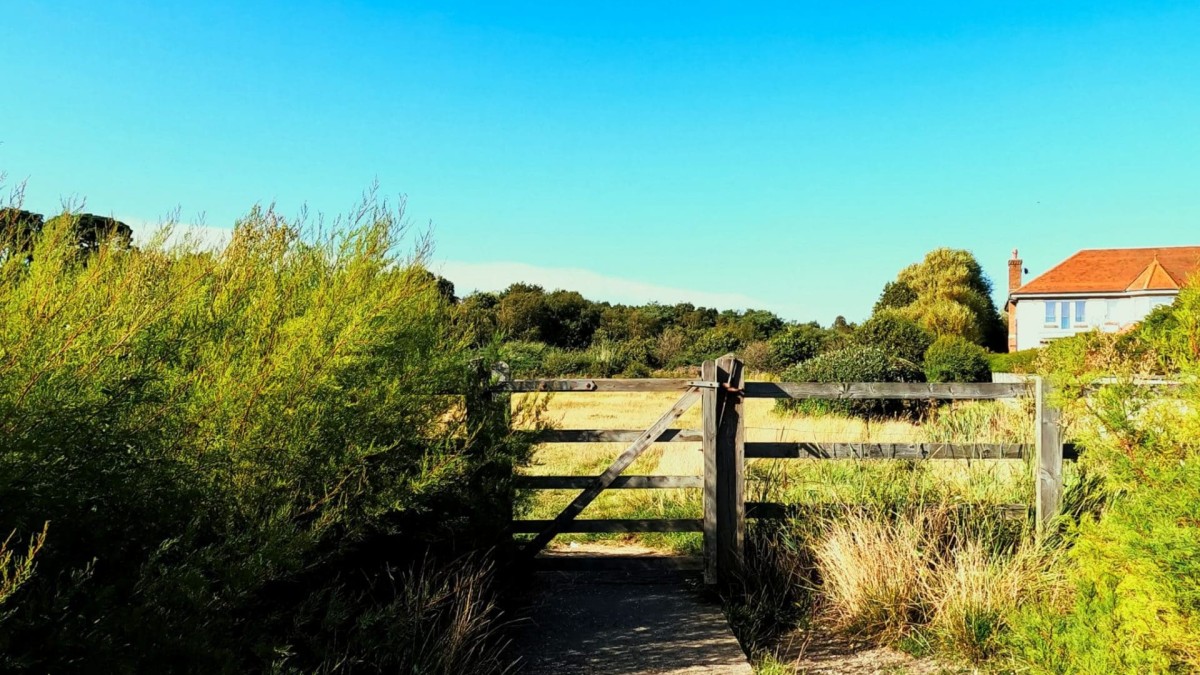 Luscombe Valley Nature Reserve