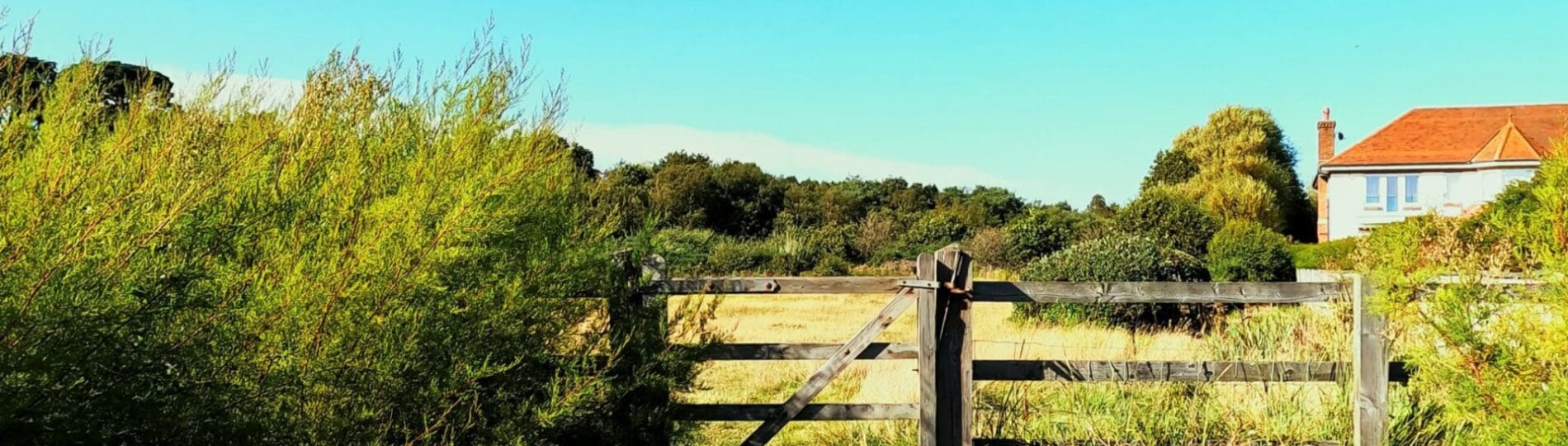 Luscombe Valley Nature Reserve