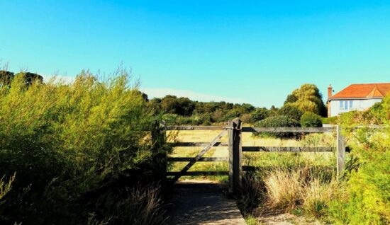 Luscombe Valley Nature Reserve
